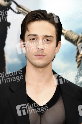 Filmpremiere 'Drachenzähmen leicht gemacht' in Los Angeles