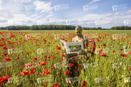 NATURE ART: Rotmohn / Red Poppy Bodypainting