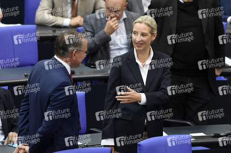 12. Sitzung des Deutschen Bundestages in Berlin