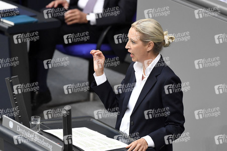 12. Sitzung des Deutschen Bundestages in Berlin