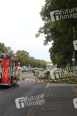 Sturmschäden in Berlin
