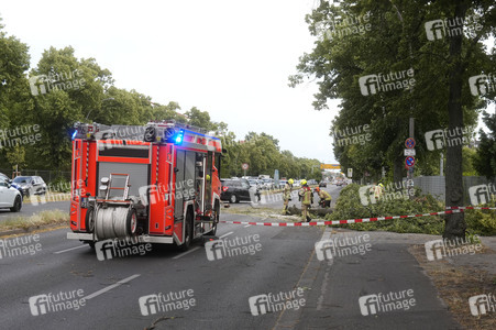 Sturmschäden in Berlin