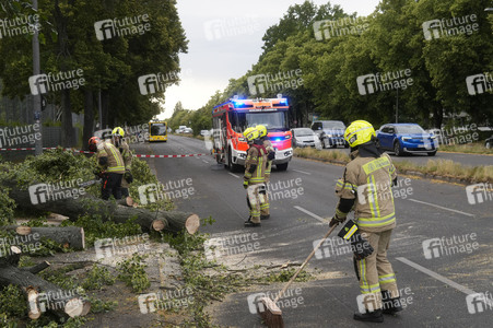 Sturmschäden in Berlin