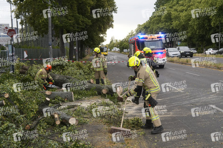 Sturmschäden in Berlin