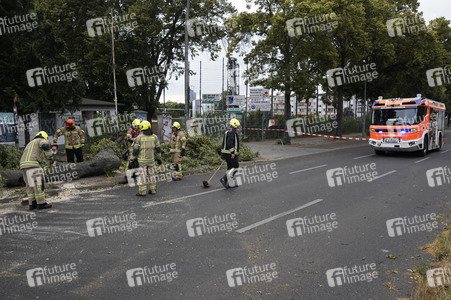 Sturmschäden in Berlin