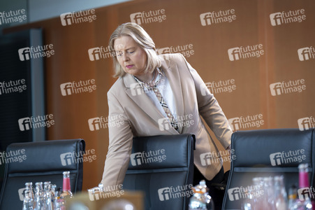 9. Sitzung des Bundeskabinetts in Berlin