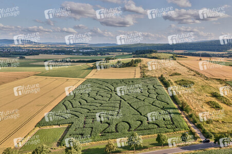 Maislabyrinth  in Bad Münder