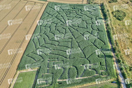 Maislabyrinth  in Bad Münder