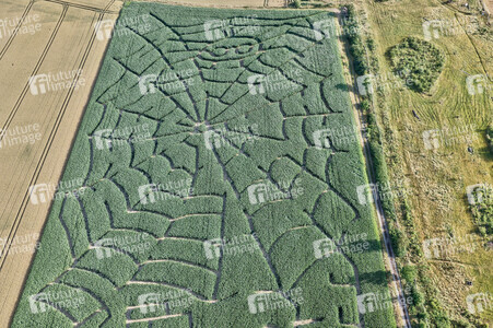 Maislabyrinth  in Bad Münder
