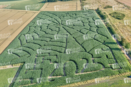 Maislabyrinth  in Bad Münder