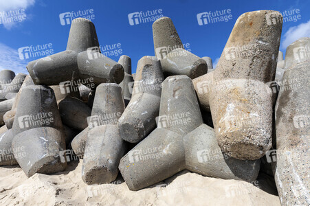 Tetrapoden in Westerland