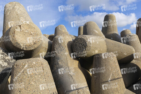 Tetrapoden in Westerland