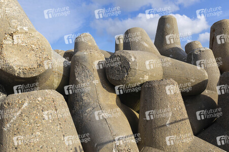 Tetrapoden in Westerland