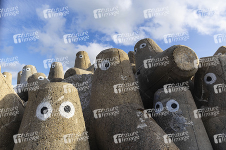 Tetrapoden in Westerland