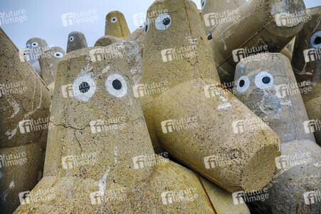 Tetrapoden in Westerland