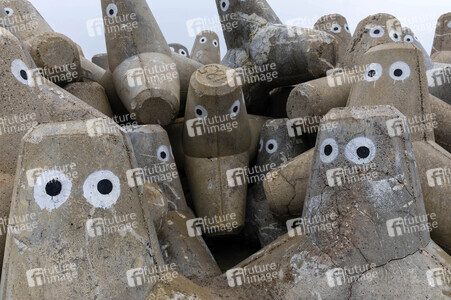 Tetrapoden in Westerland