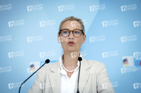 Pressestatement anlässlich der Fraktionsklausur der AfD in Berlin