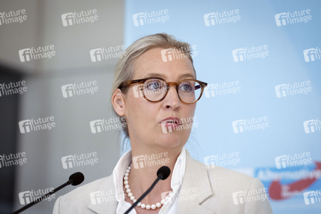 Pressestatement anlässlich der Fraktionsklausur der AfD in Berlin