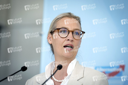 Pressestatement anlässlich der Fraktionsklausur der AfD in Berlin