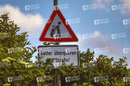 Symbolfoto Golfer überqueren die Straße