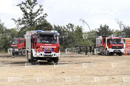 Waldbrand in der Gohrischheide