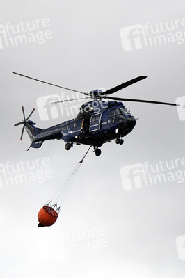 Waldbrand in der Gohrischheide