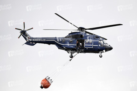 Waldbrand in der Gohrischheide