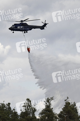 Waldbrand in der Gohrischheide