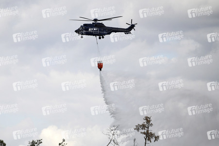 Waldbrand in der Gohrischheide