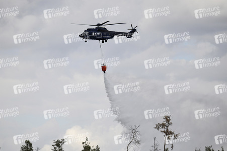 Waldbrand in der Gohrischheide