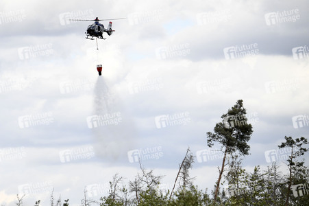 Waldbrand in der Gohrischheide