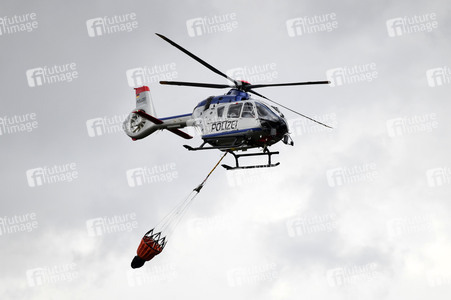 Waldbrand in der Gohrischheide