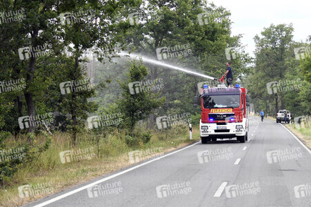 Waldbrand in der Gohrischheide