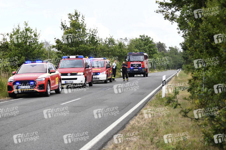 Waldbrand in der Gohrischheide