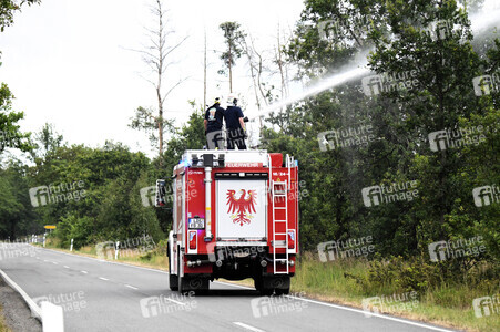 Waldbrand in der Gohrischheide