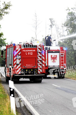 Waldbrand in der Gohrischheide