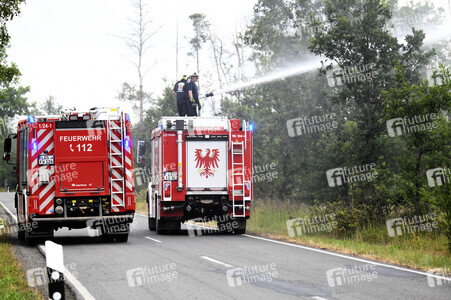 Waldbrand in der Gohrischheide