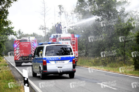 Waldbrand in der Gohrischheide
