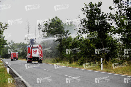Waldbrand in der Gohrischheide