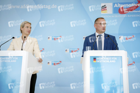 Fraktionssitzung der AfD-Bundestagsfraktion in Berlin