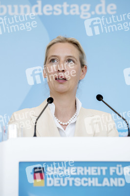 Fraktionssitzung der AfD-Bundestagsfraktion in Berlin