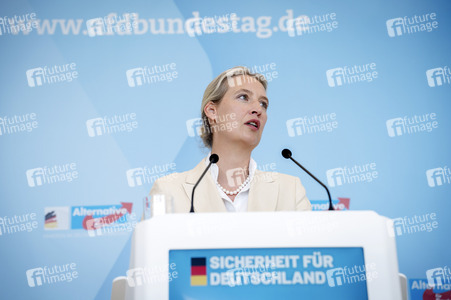 Fraktionssitzung der AfD-Bundestagsfraktion in Berlin