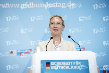 Fraktionssitzung der AfD-Bundestagsfraktion in Berlin