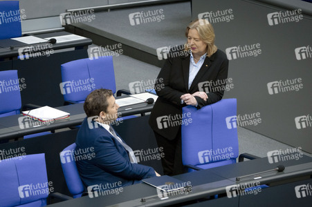 16. Sitzung des Deutschen Bundestages in Berlin