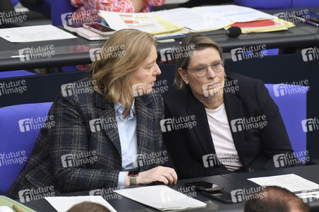 17. Sitzung des Deutschen Bundestages in Berlin