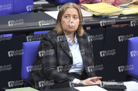 17. Sitzung des Deutschen Bundestages in Berlin