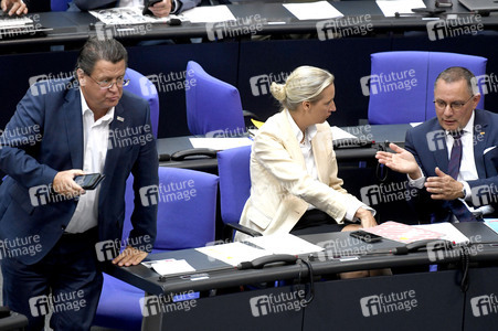 17. Sitzung des Deutschen Bundestages in Berlin