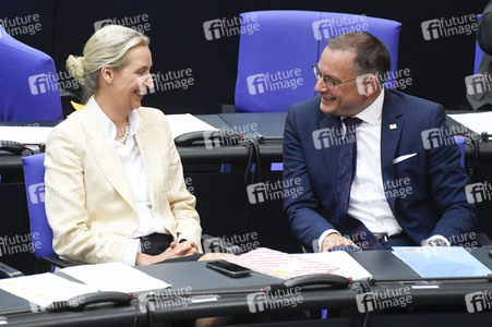 17. Sitzung des Deutschen Bundestages in Berlin