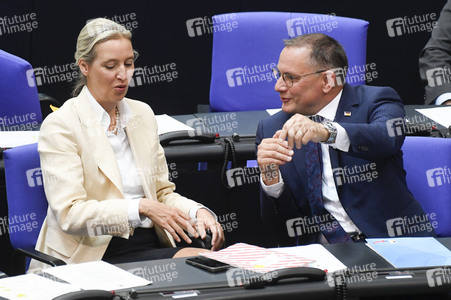 17. Sitzung des Deutschen Bundestages in Berlin