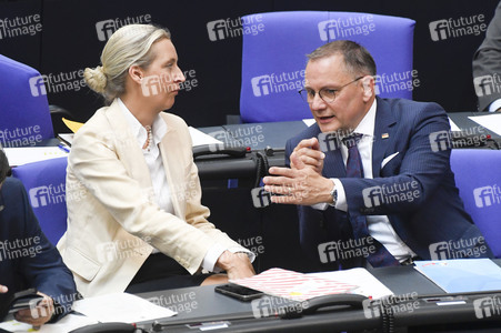 17. Sitzung des Deutschen Bundestages in Berlin